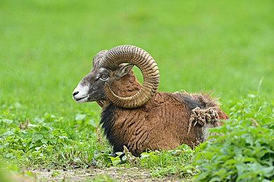 《碧蓝幻想：Relink》1.2版本4月26日上线 添加新角色